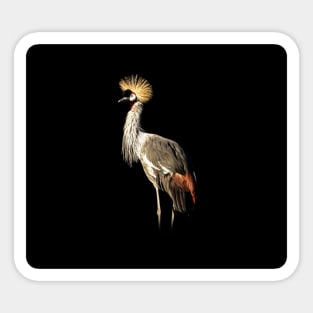 Grey crowned crane Sticker